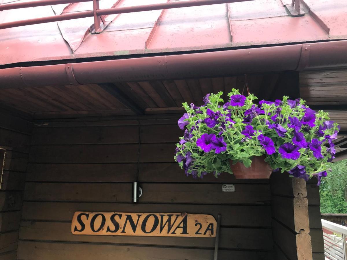 Sosnowy Zakatek Villa Wisła Eksteriør bilde